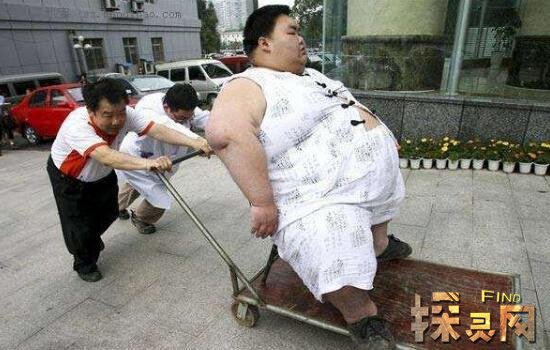 中国第一胖梁用已成功减肥，不仅身轻如燕还能健步如飞