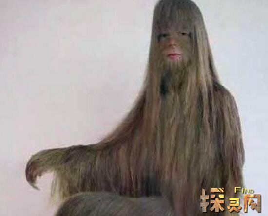 世界上体毛最长的女人艾米丽苏珊，浑身都是毛被人称为猴孩