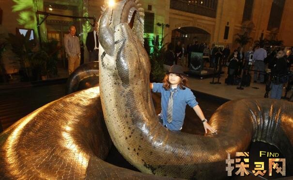 人类已知最大的蛇类，史前塞雷洪泰坦蟒长15米(图片)