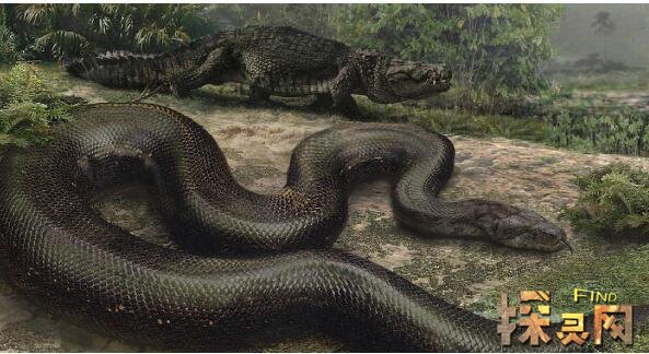 史上最大的蛇类塞雷洪泰坦蟒，长度15米/1吨重(图片)