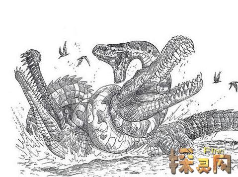 史上最大的蛇类塞雷洪泰坦蟒，长度15米/1吨重(图片)