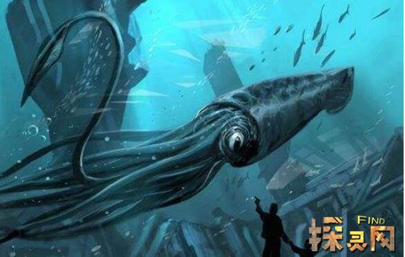 世界上最大的鱿鱼，巨型鱿鱼长10米重900斤(又称大王乌贼)